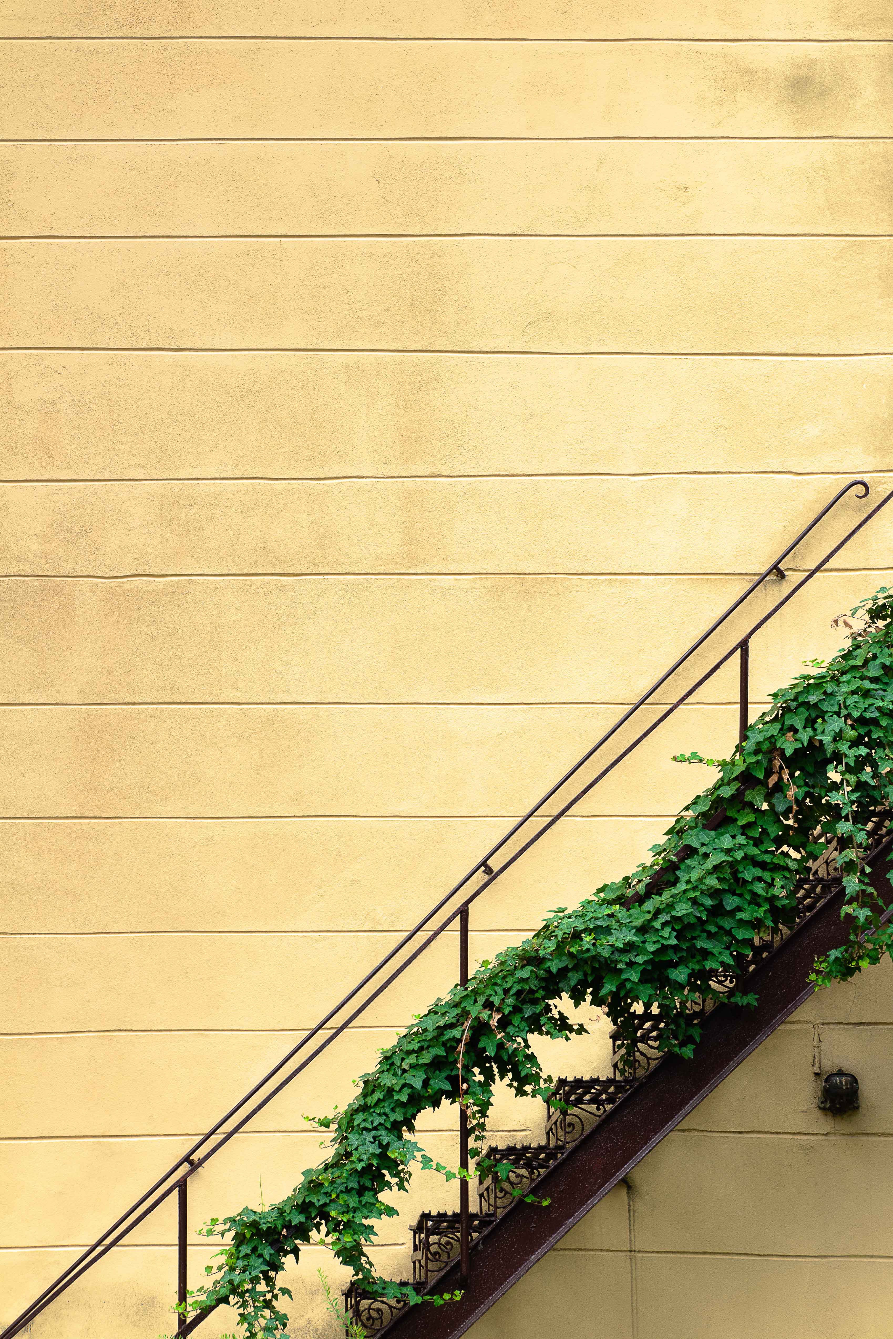 Green Wall, Vertical Garden, Green Facade, planter boxes Australia