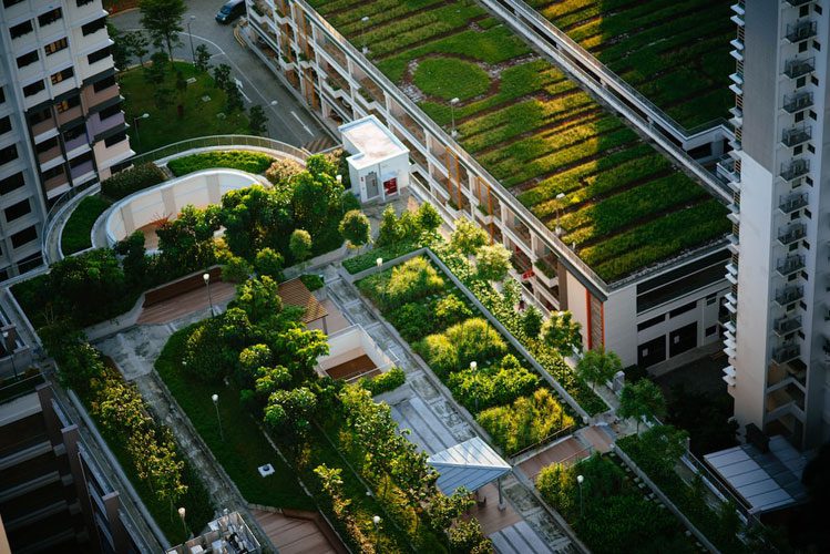 Green roof, green wall, vertical garden