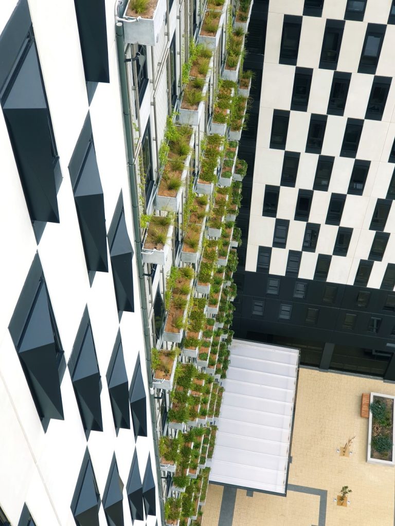 Green Facade, Green Wall, Green Wall Maintenance, Vertical Garden